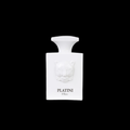 Men's Fragrance 100ml