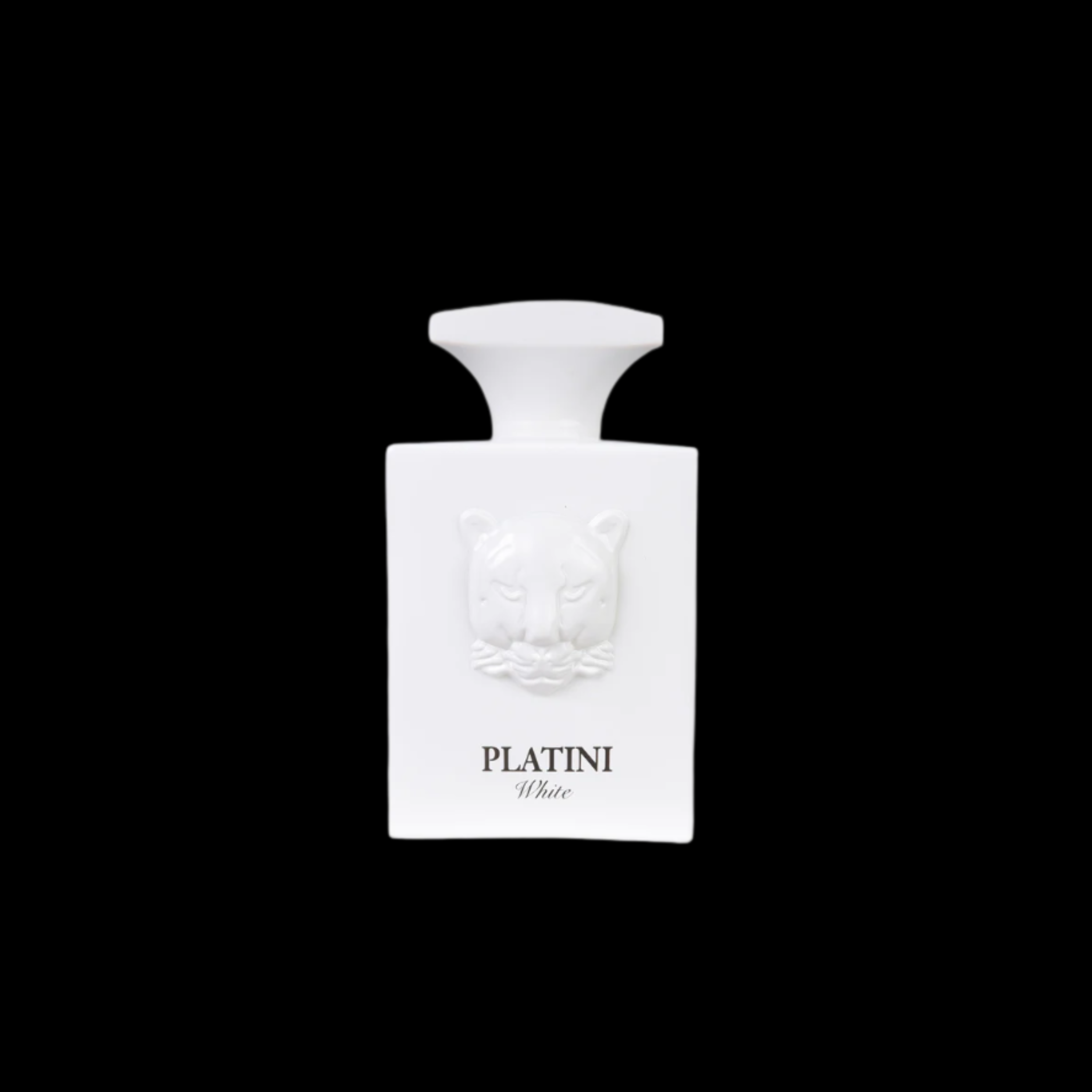 Men's Fragrance 100ml